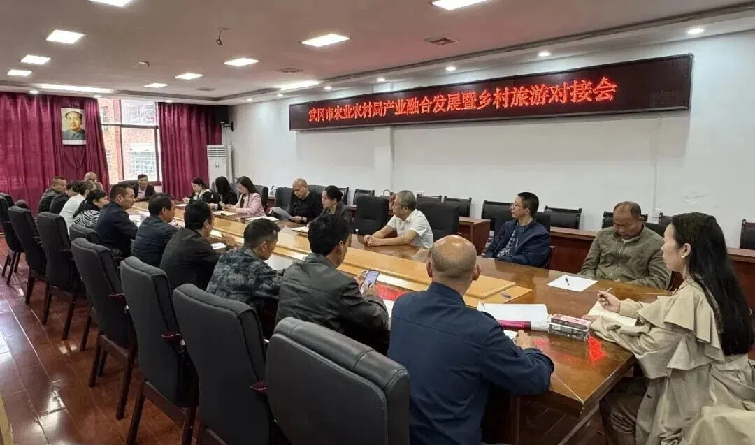 武冈市推动农旅融合助力乡村振兴(图1)
