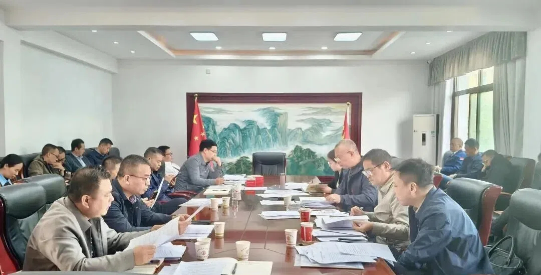 武冈市召开申报国家历史文化名城工作推进会(图1)