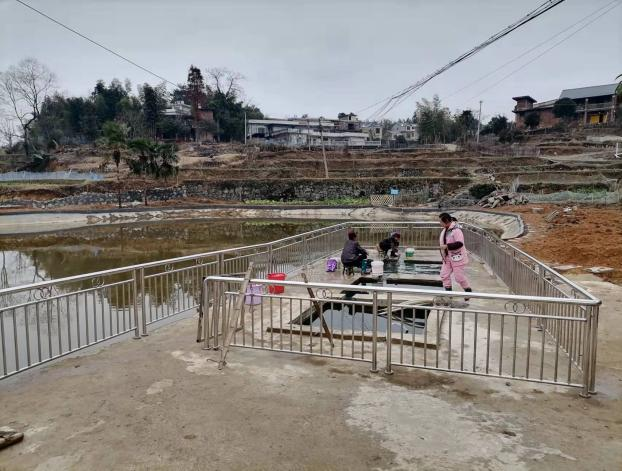武冈市稠树塘镇枧头村全面推进乡村振兴工作(图2)