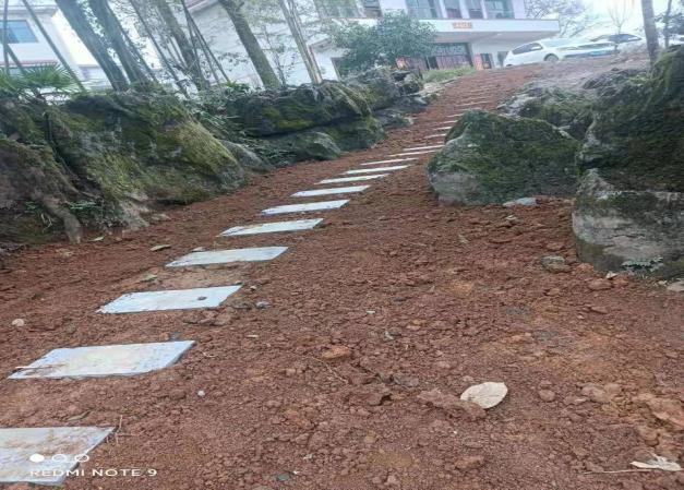 武冈市稠树塘镇枧头村全面推进乡村振兴工作(图3)