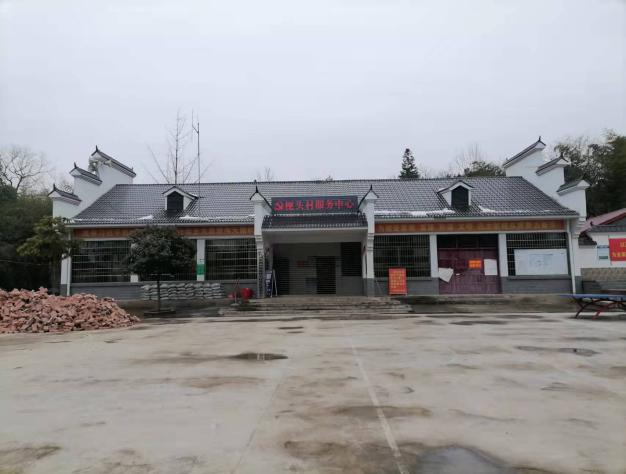 武冈市稠树塘镇枧头村全面推进乡村振兴工作(图1)